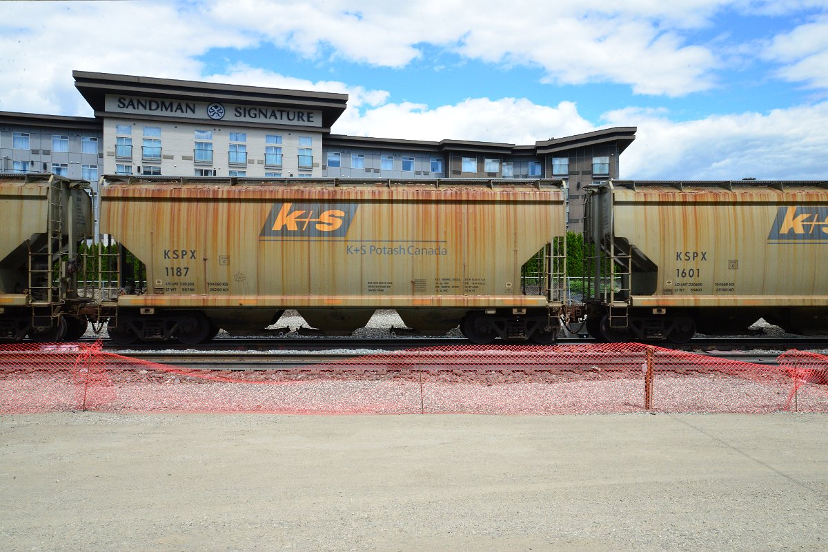 DSC_4445.JPG