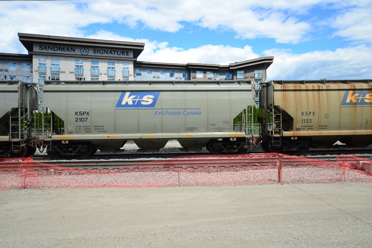 DSC_4462.JPG
