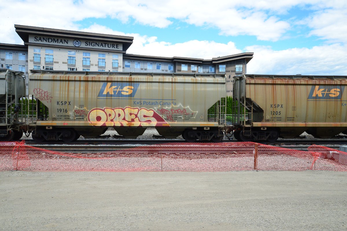 DSC_4467.JPG