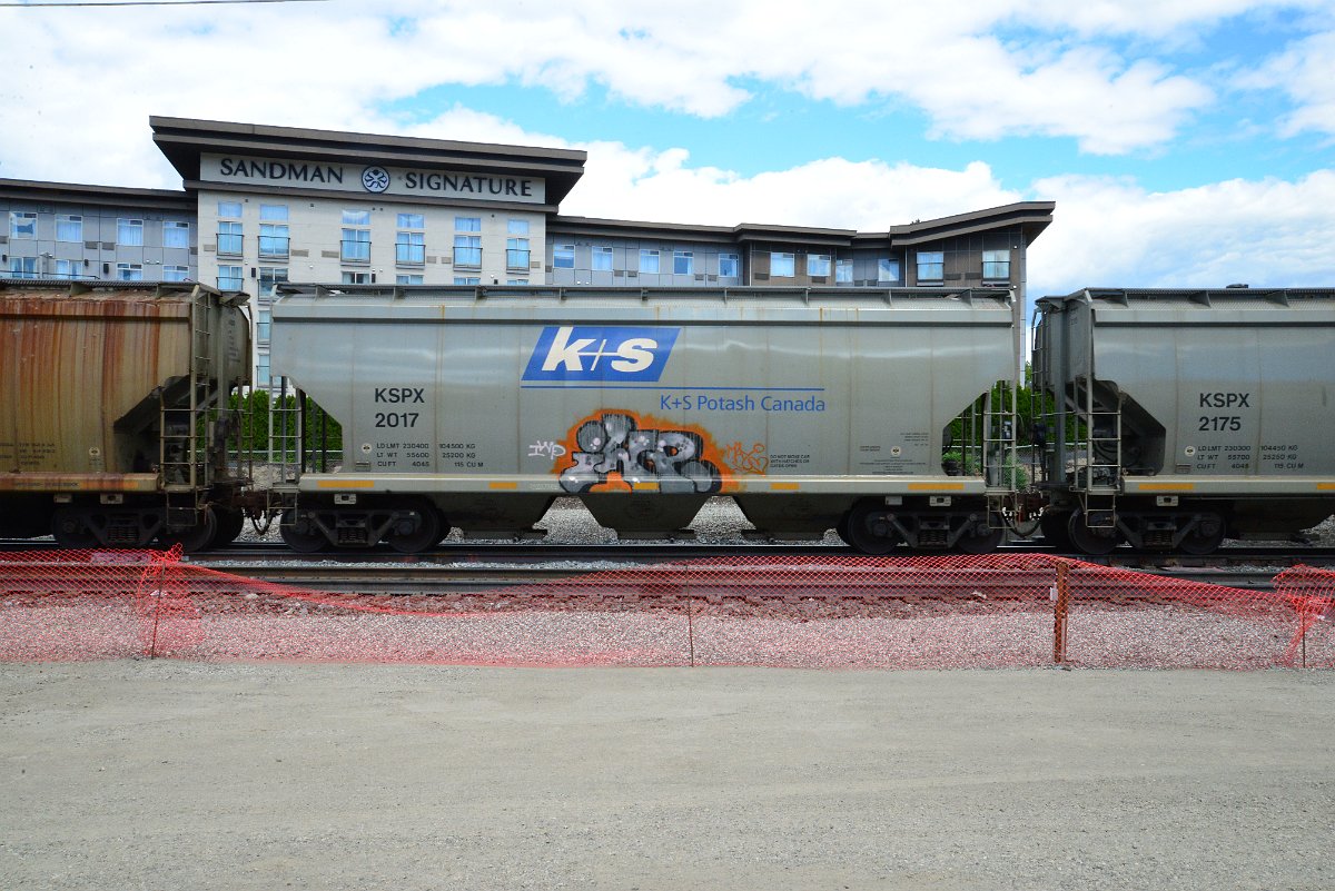 DSC_4480.JPG