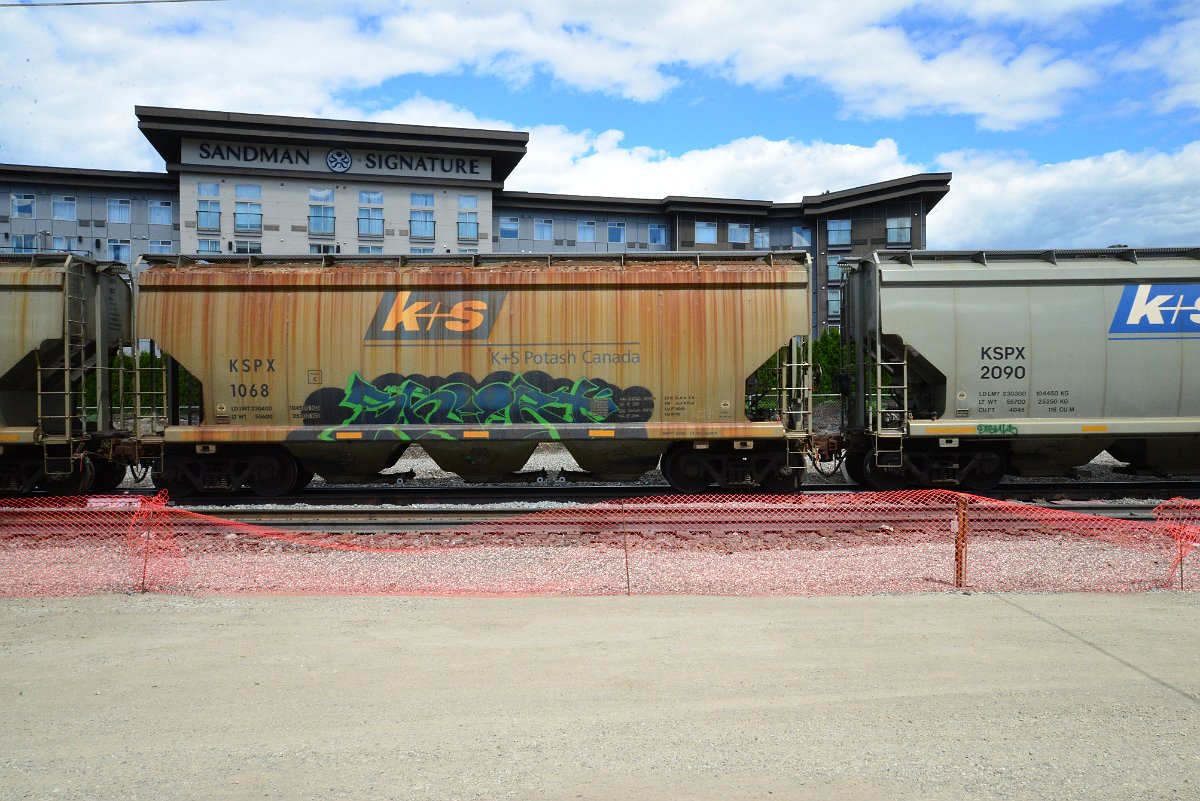 DSC_4485.JPG