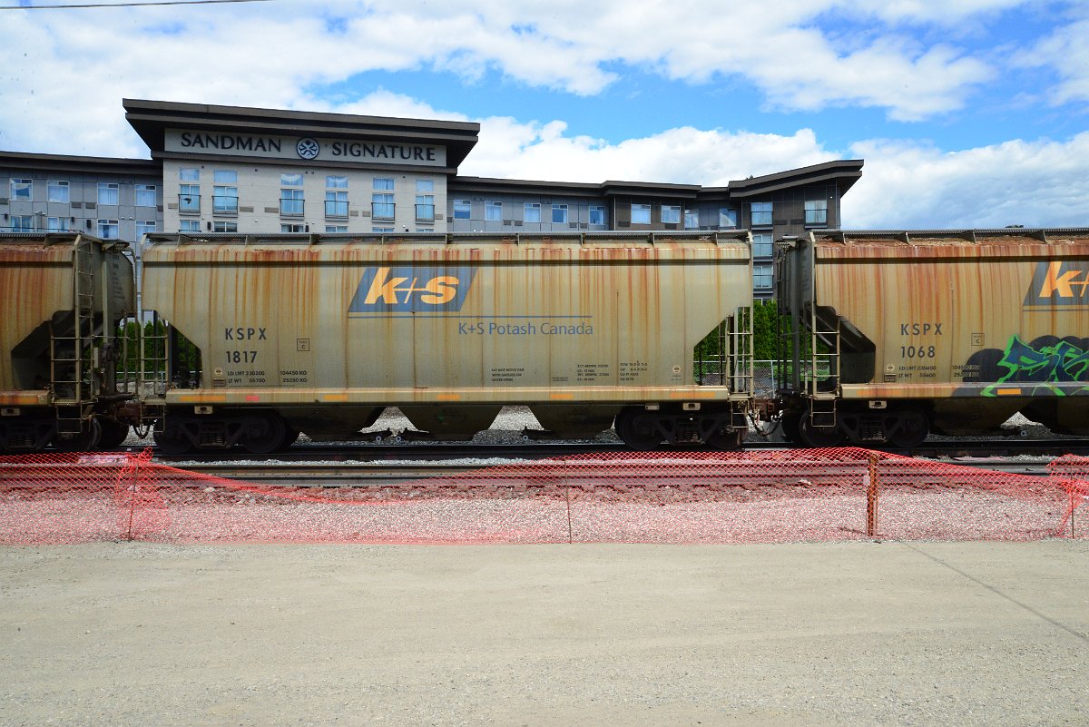 DSC_4486.JPG