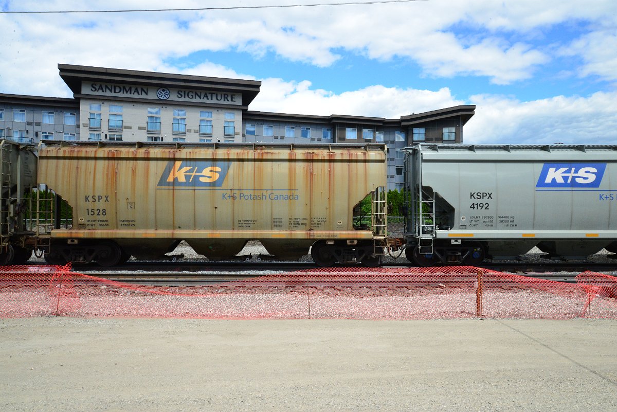 DSC_4489.JPG
