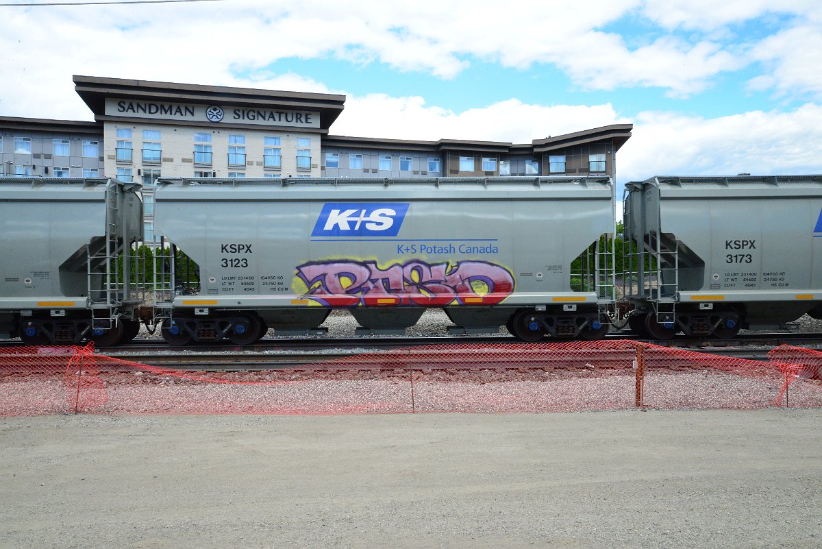 DSC_4512.JPG