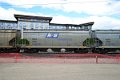 DSC_4381