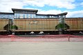 DSC_4435