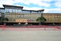 DSC_4467