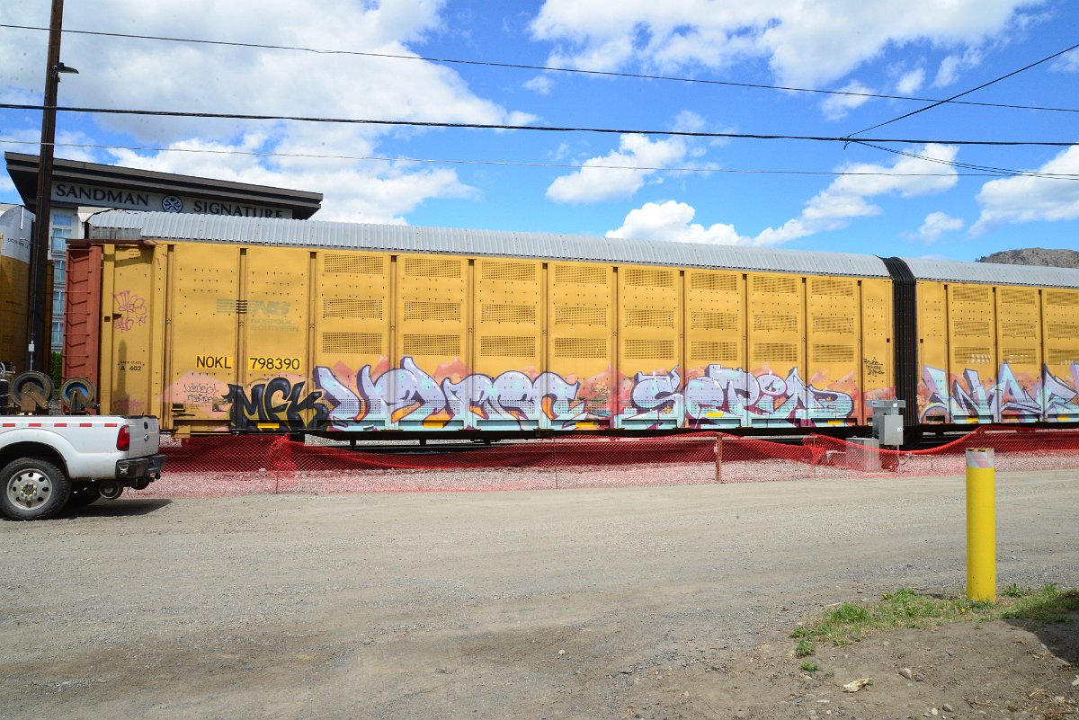 DSC_4530.JPG