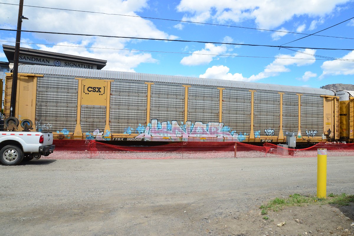 DSC_4532.JPG