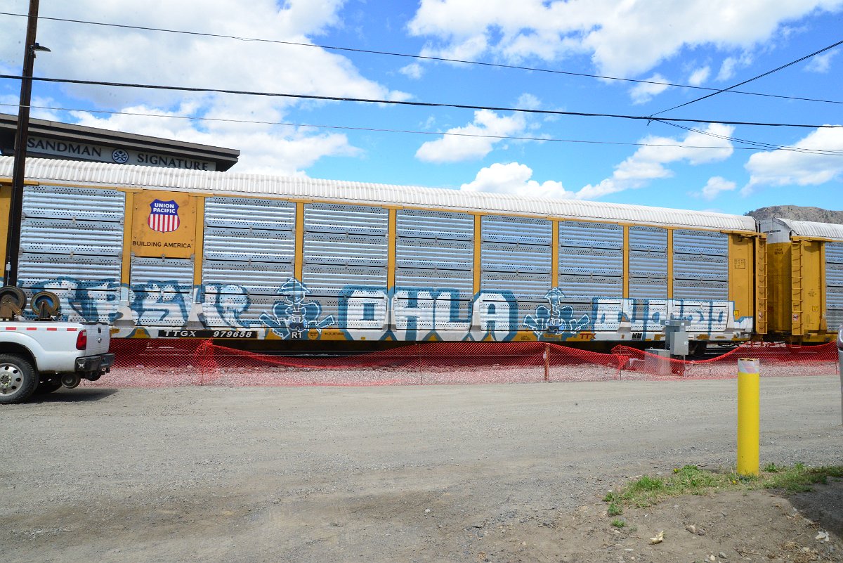 DSC_4533.JPG