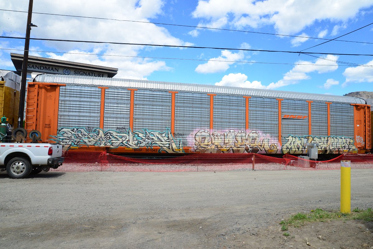 DSC_4536.JPG