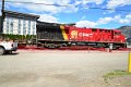 DSC_4664