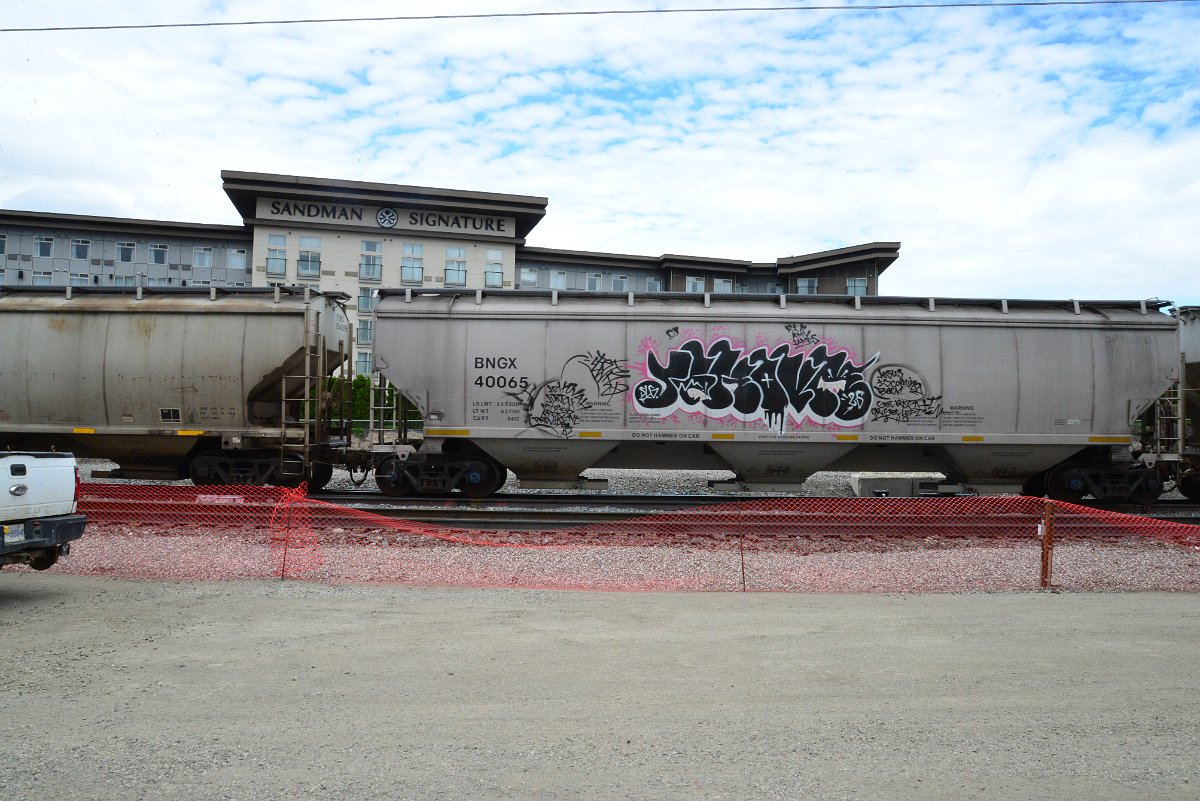 DSC_4849.JPG