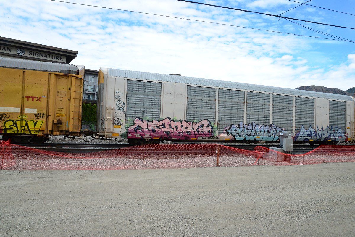 DSC_4929.JPG