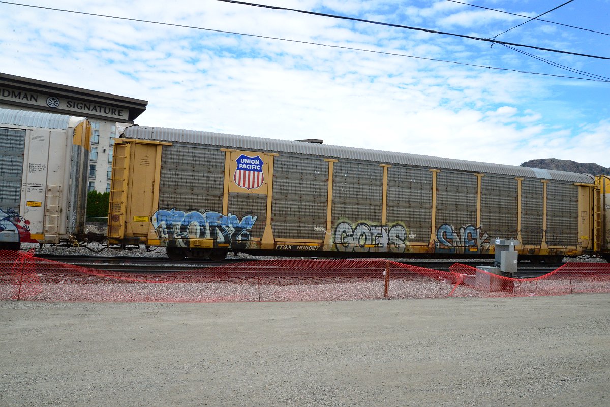 DSC_4930.JPG