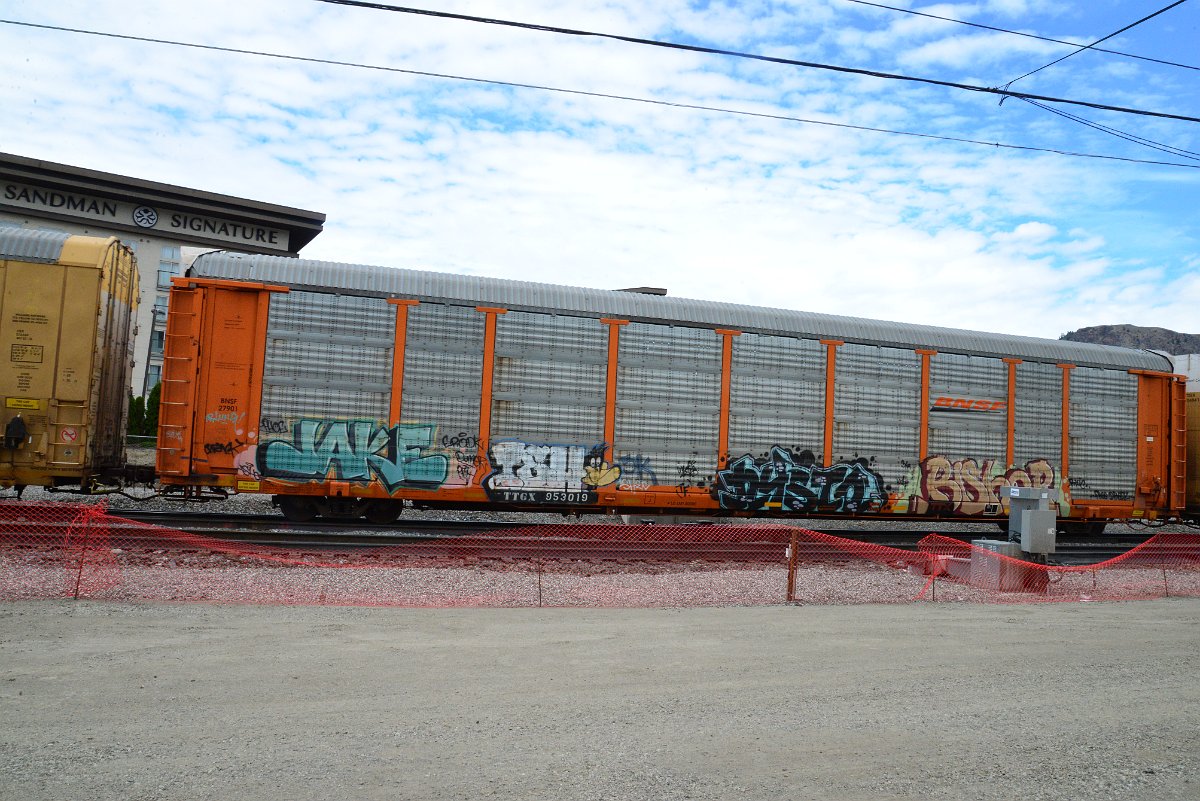 DSC_4932.JPG
