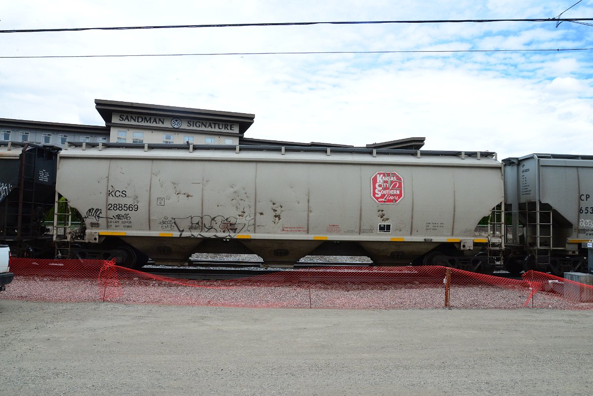 DSC_4949.JPG