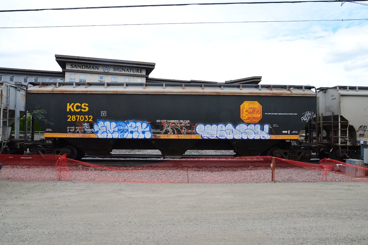 DSC_4950.JPG