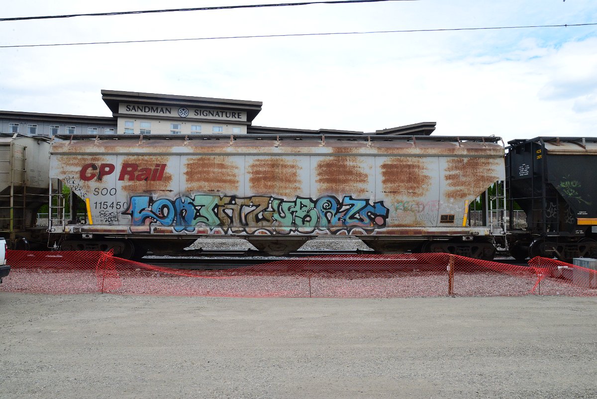 DSC_4951.JPG