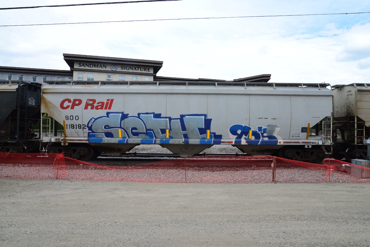 DSC_4953.JPG