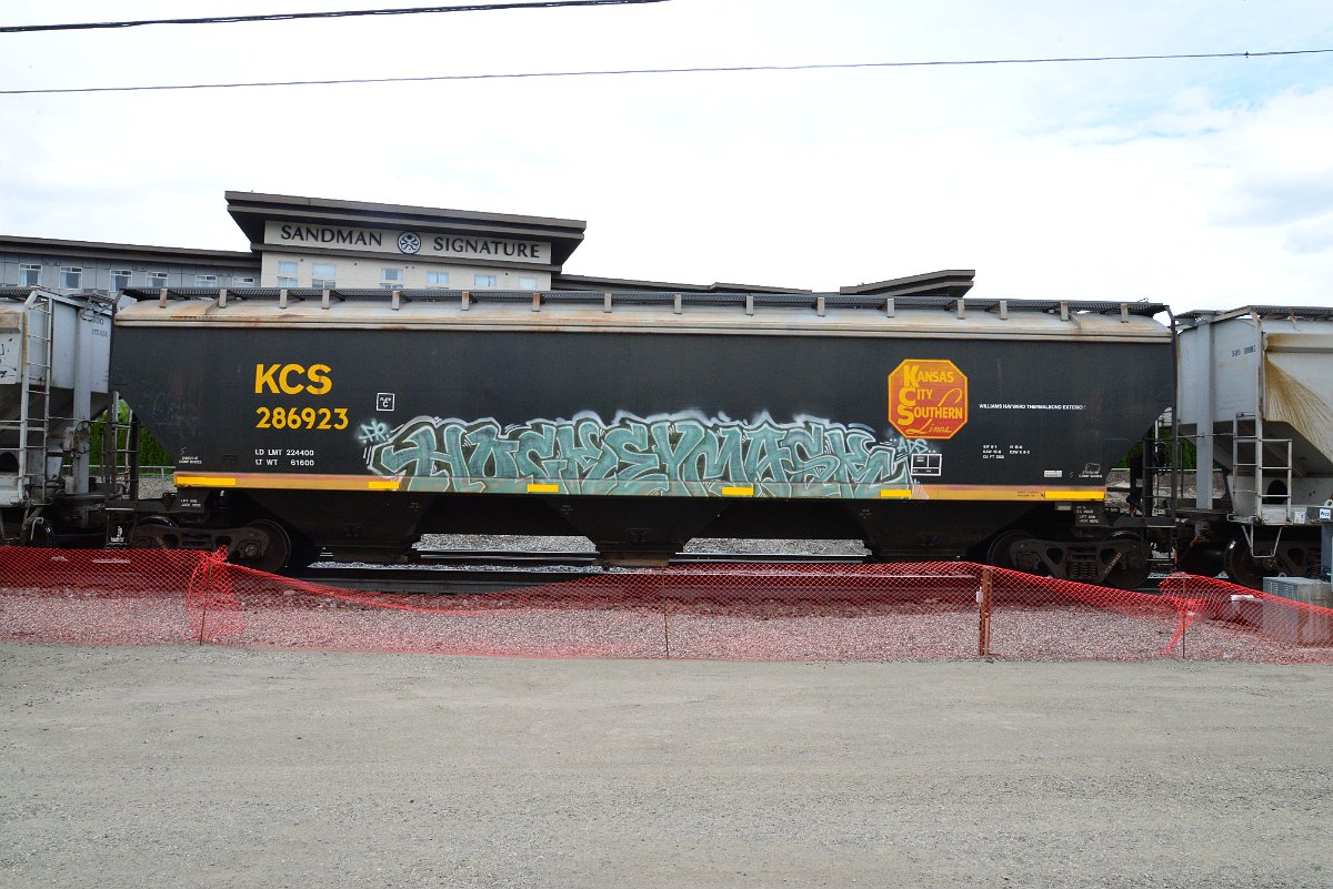 DSC_4954.JPG