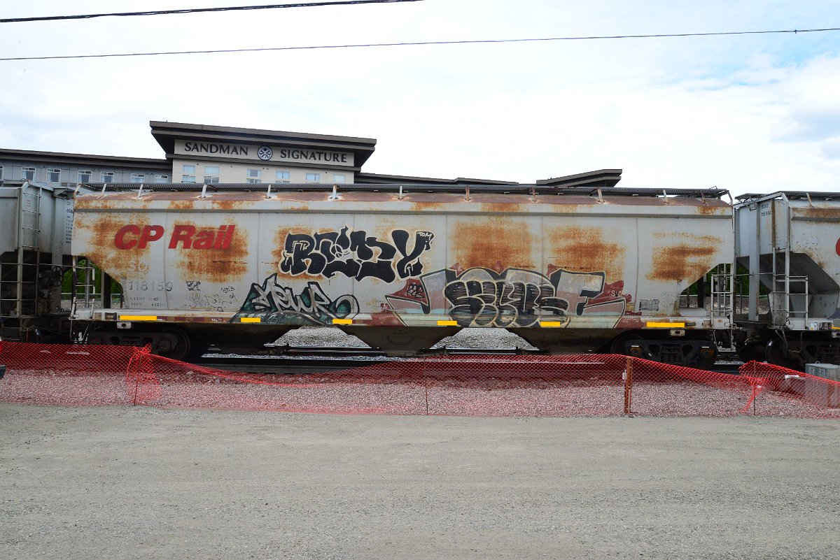 DSC_4956.JPG