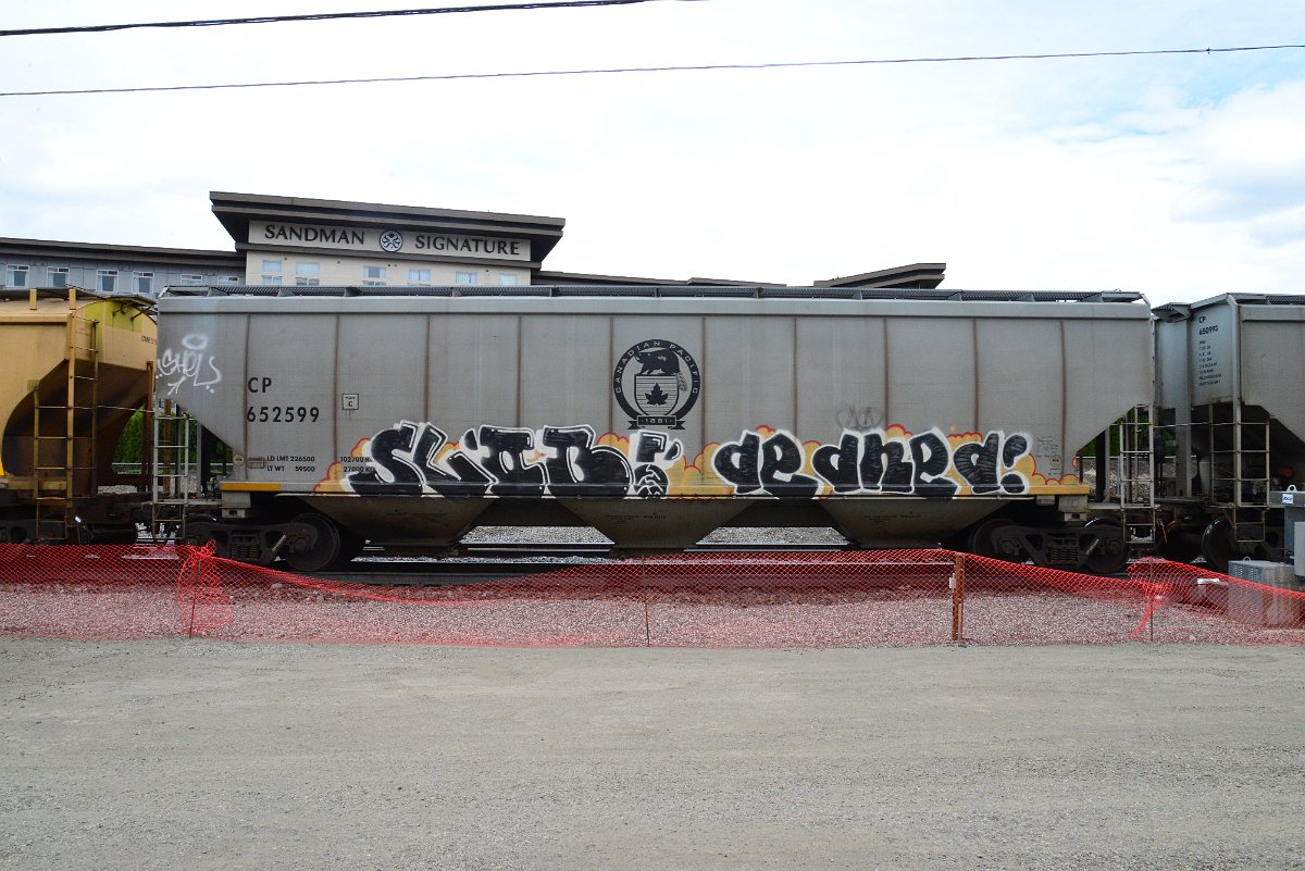 DSC_4960.JPG
