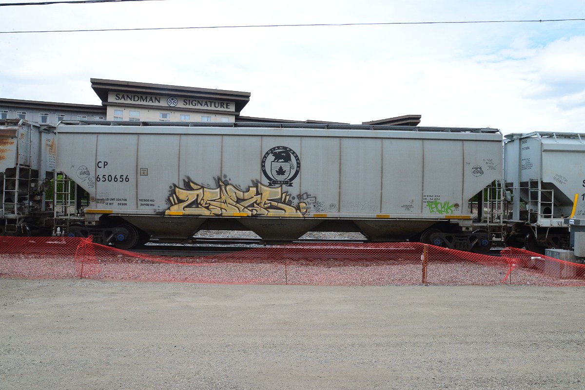 DSC_4966.JPG