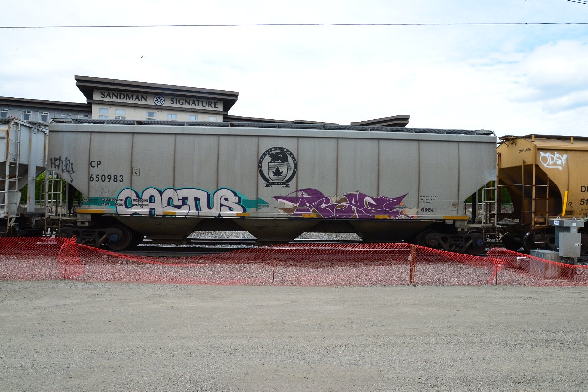 DSC_4974.JPG