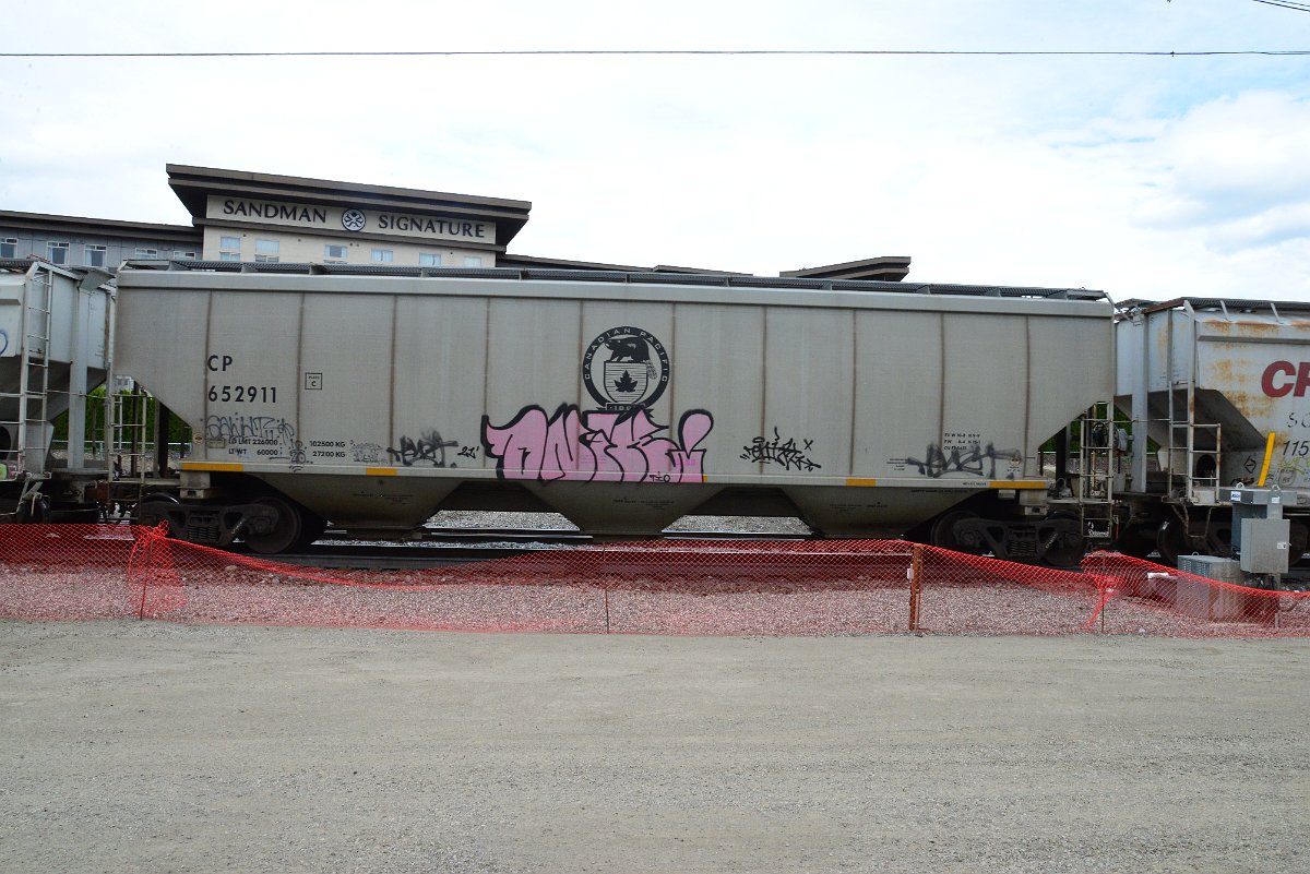 DSC_4976.JPG