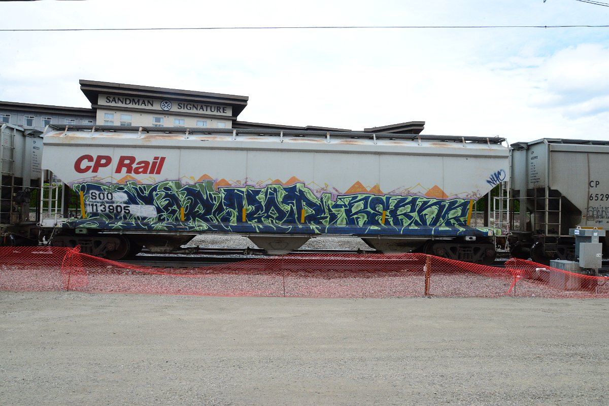 DSC_4977.JPG