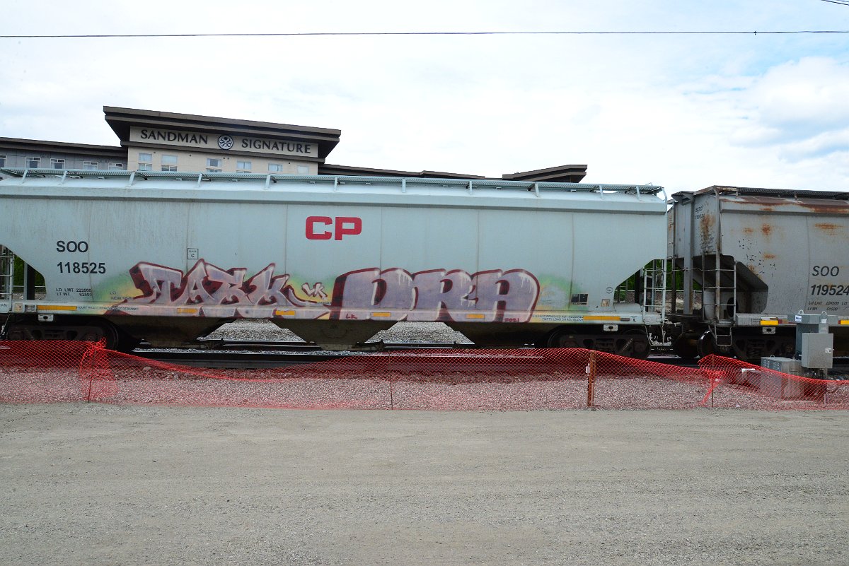 DSC_4982.JPG