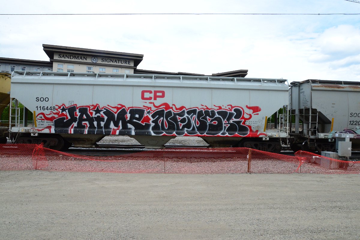 DSC_4985.JPG