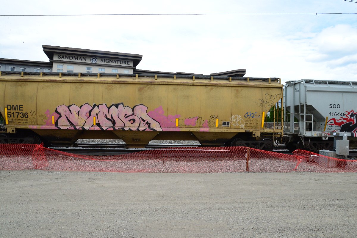 DSC_4986.JPG