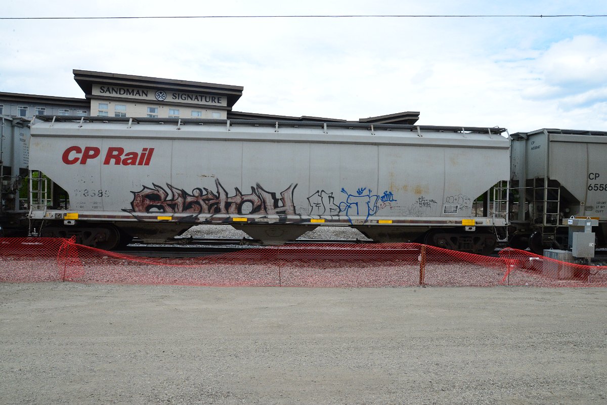 DSC_4992.JPG
