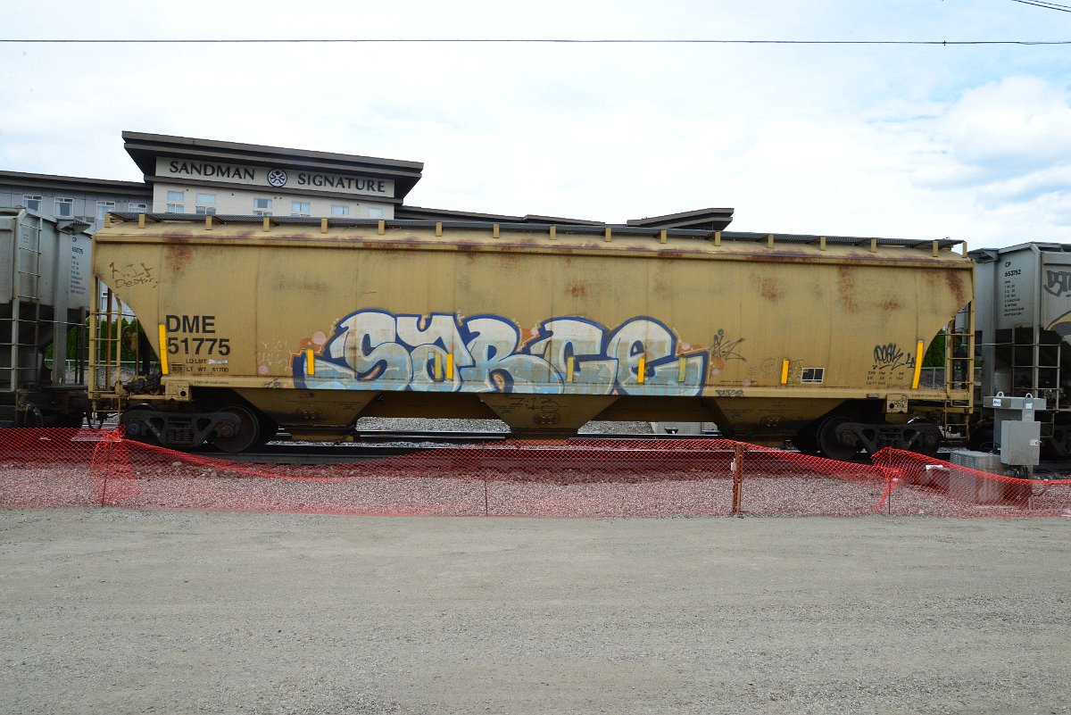 DSC_4995.JPG