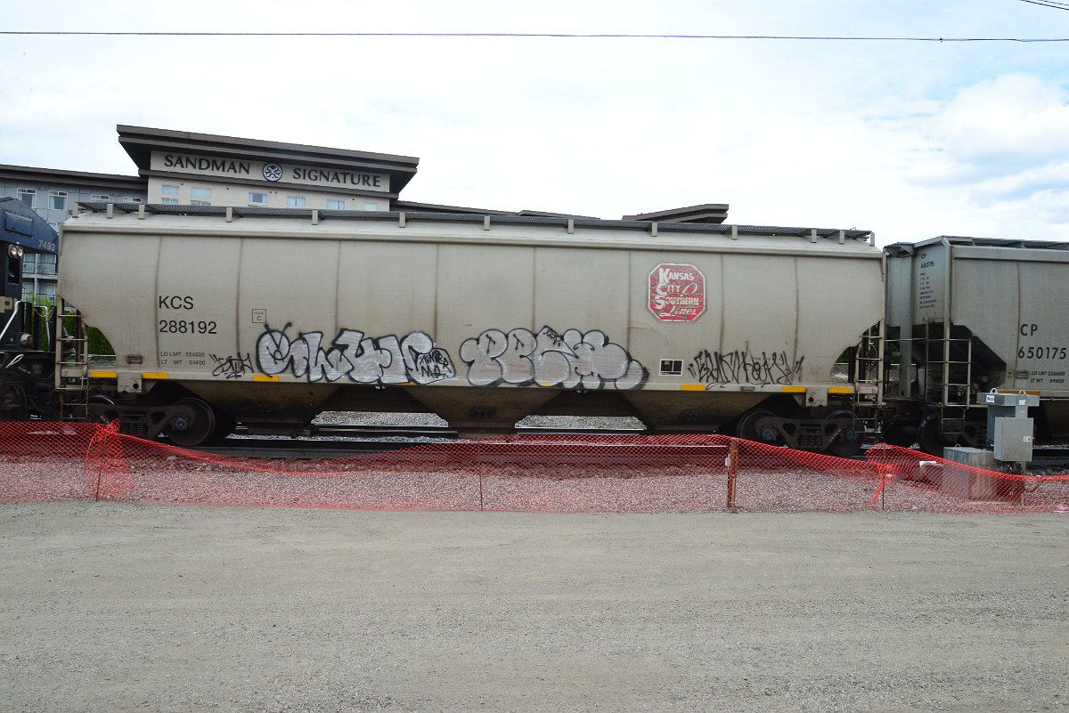 DSC_4997.JPG