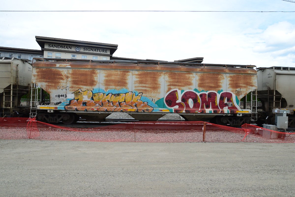 DSC_5010.JPG