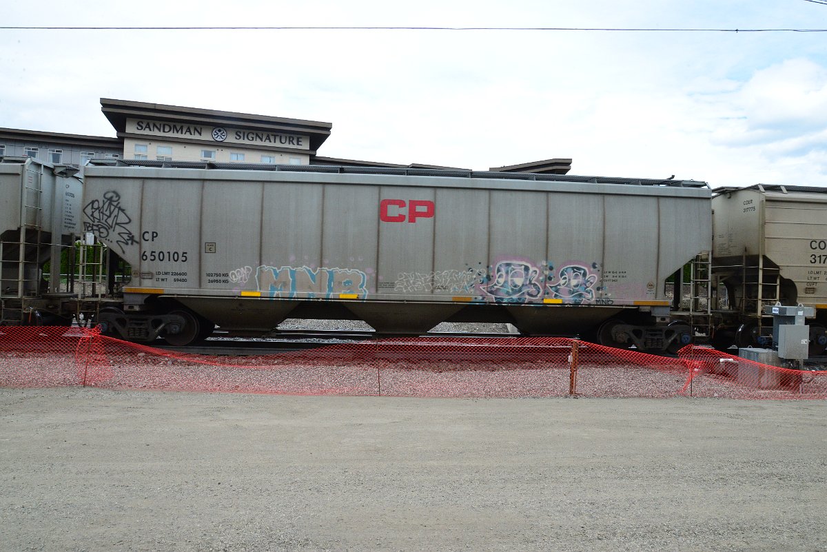 DSC_5012.JPG