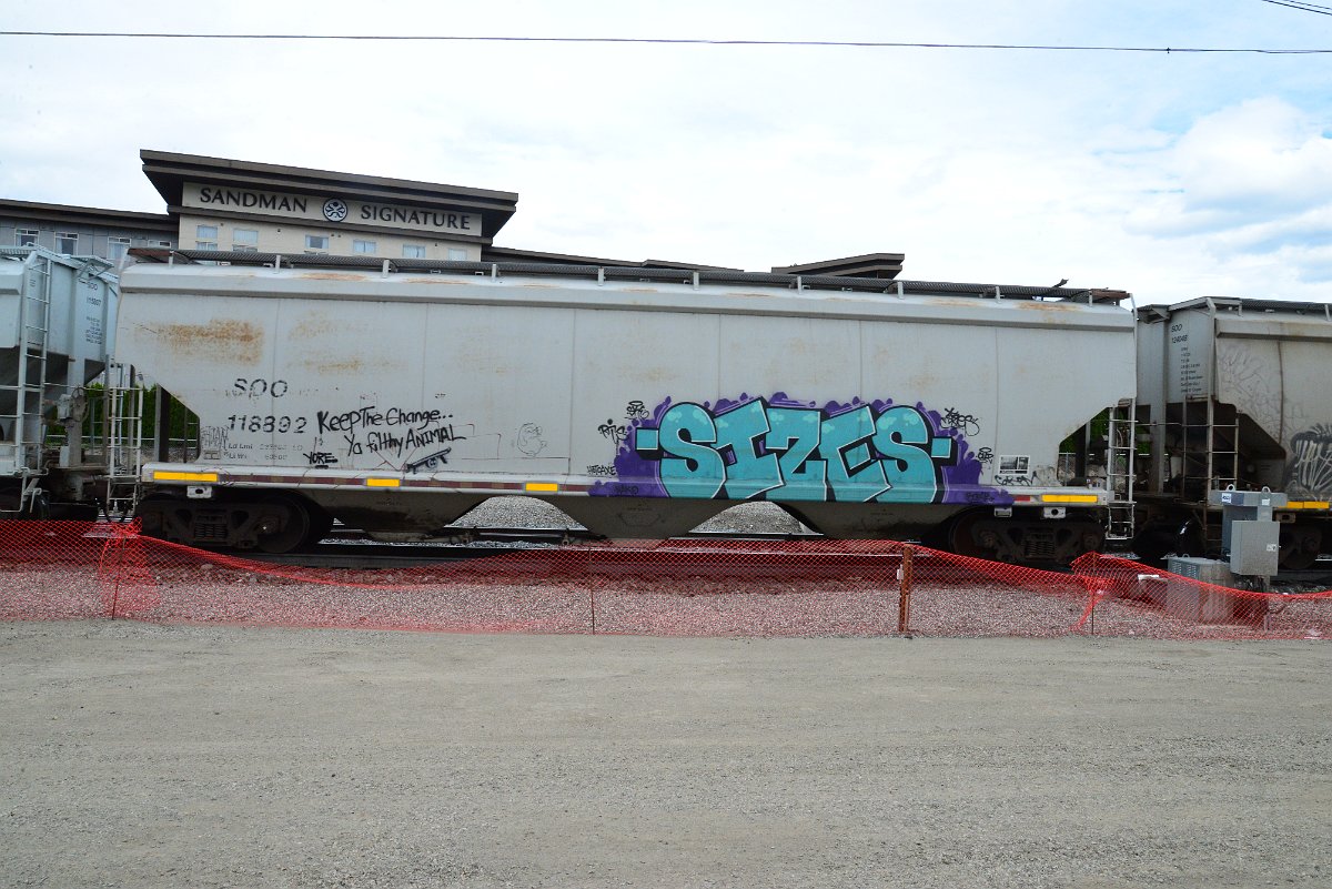 DSC_5016.JPG