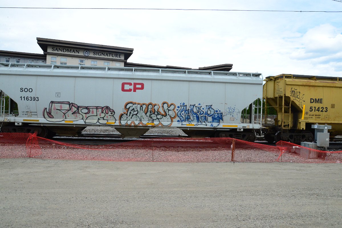 DSC_5020.JPG