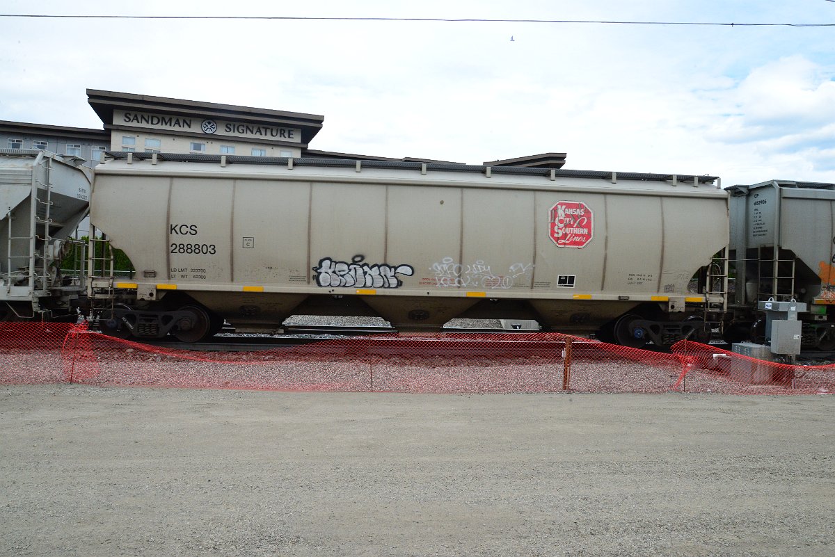 DSC_5026.JPG