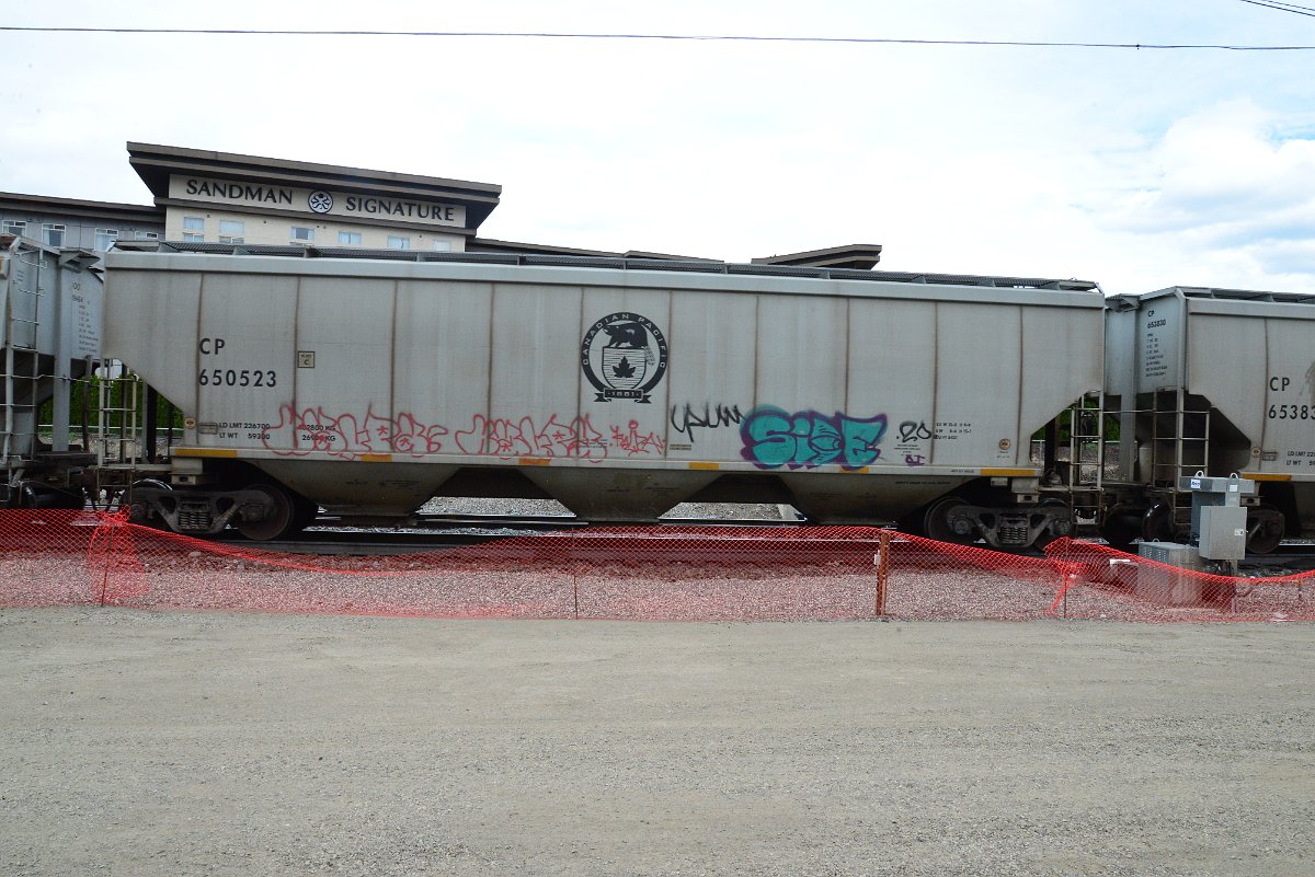 DSC_5046.JPG