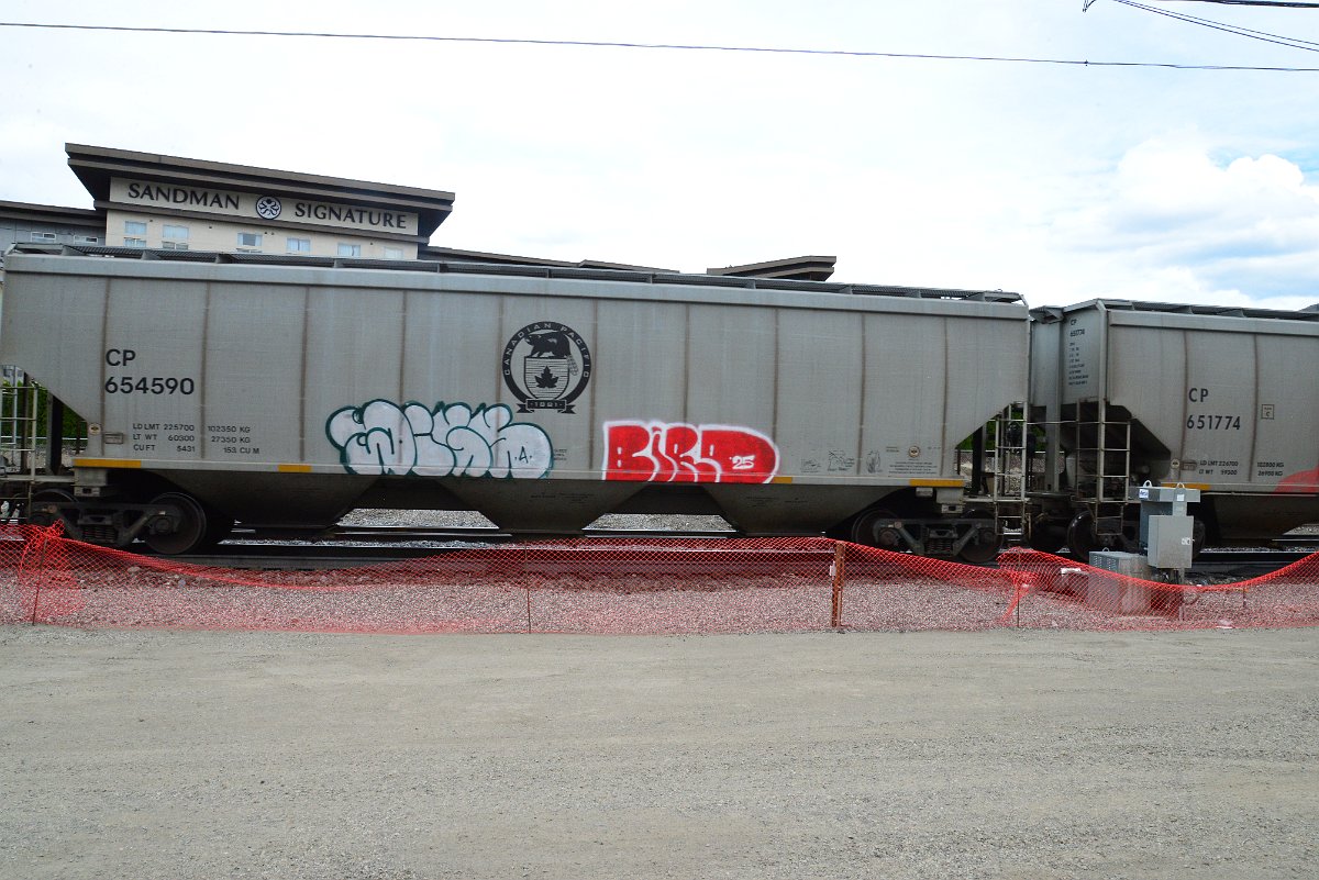 DSC_5082.JPG