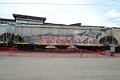DSC_5015