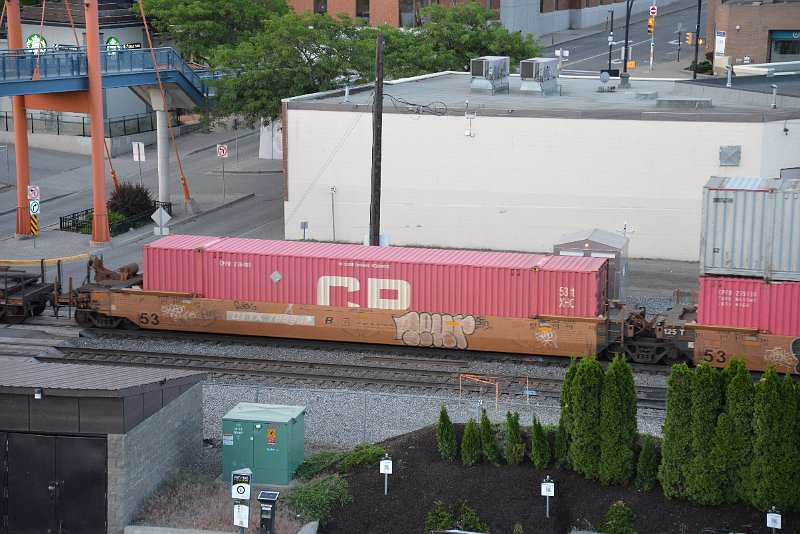 DSC_5116.JPG