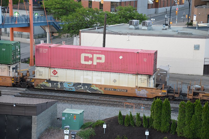 DSC_5146.JPG