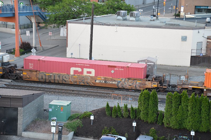 DSC_5184.JPG