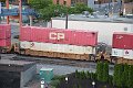 DSC_5150