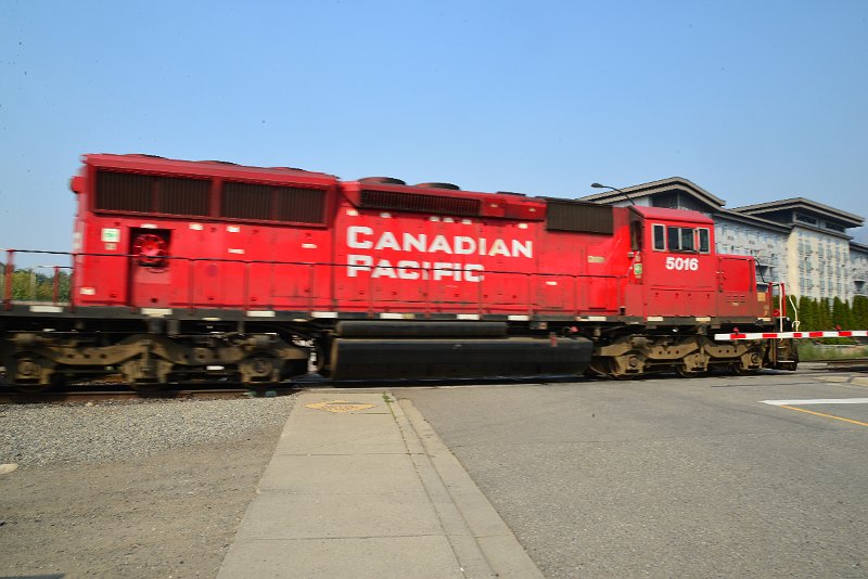 DSC_8621.JPG